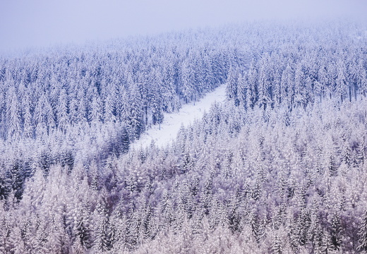 IMG 0079